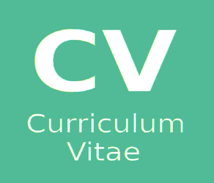 Mẫu CV bằng tiếng Anh curiculum vitae